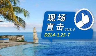 現(xiàn)場(chǎng)直擊丨看生物質(zhì)鍋爐在巴厘島如何強(qiáng)操作，回頭客非它不選
